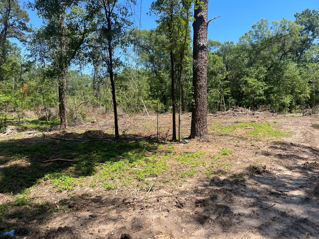 R16018 Davisville Road, Lufkin, TX 75901